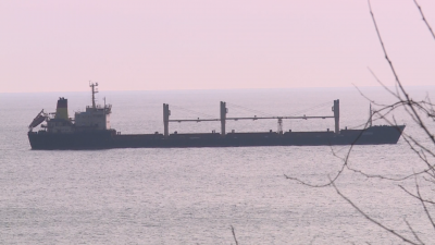 Вече 17-и ден товарният кораб "Царевна" е блокиран на пристанището в Мариупол