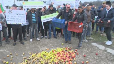 Производители на плодове и зеленчуци протестираха срещу разпределението на ковид субсидиите