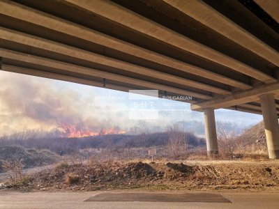 Голям пожар гори край АМ "Струма"