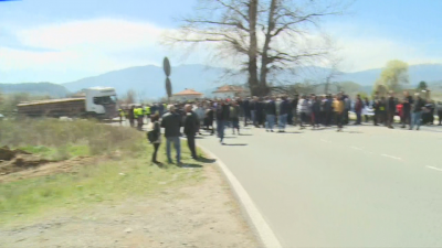 Дърводобивни фирми от Югозападна България излизат на протест