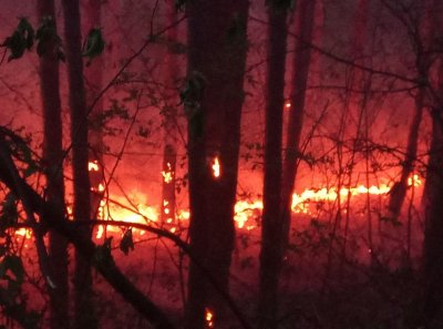 Голям горски пожар бушува над село Илинденци област Благоевград Огънят е