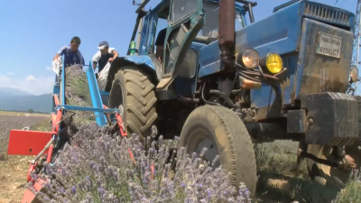 Трета година измамени земеделци от Югозападна България чакат да им