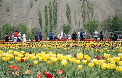 Фестивал на лалетата в Иран (Снимки)