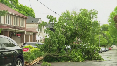 Мощна буря остави без ток близо 900 000 домакинства в Канада - има загинали