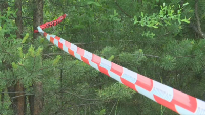 Полицията потвърди, че откритото тяло край Батановци е на Алена Щерк