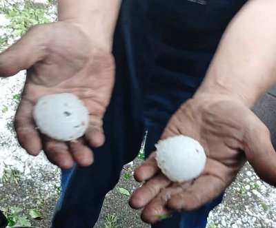 Градушка с големината на яйце нанесе тежки щети в Чепеларе Местните