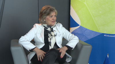 Европейският комисар по въпросите на сближаването и реформите Елиза Ферейра