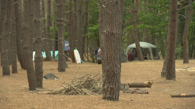 Летовници с палатки и каравани са се настанили в гората