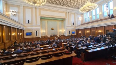 Дебатът в Народното събрание по "френското предложение" за Северна Македония