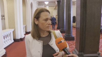 Ива Митева: Почти съм убедена, че ще гласуваме против проекторешението на ДБ