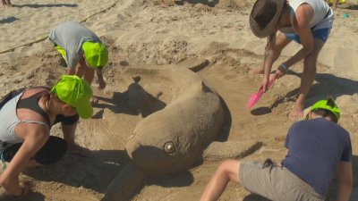 "Пясъчни творения": Над 120 деца и техните родители се включиха в състезание за пясъчни фигури
