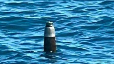ВМС откриха останки от боеприпас на 5 мили от Камен бряг