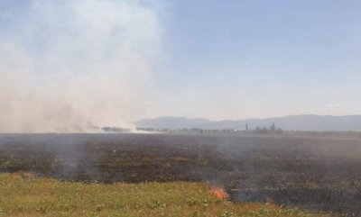Пламнаха сухи треви в Пловдивско