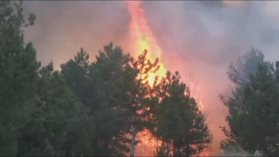 Локализиран е пожарът между селата Калугерово и Лесичово до Пазарджик По