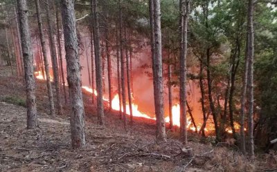 Хеликоптери ще се включат в гасенето на пожара в иглолистна