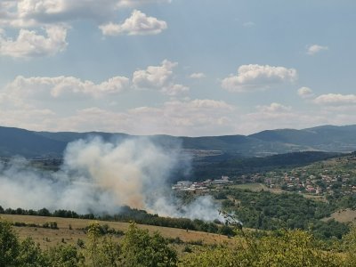Сухи треви и храсти горят край благоевградското село Селище Огънят