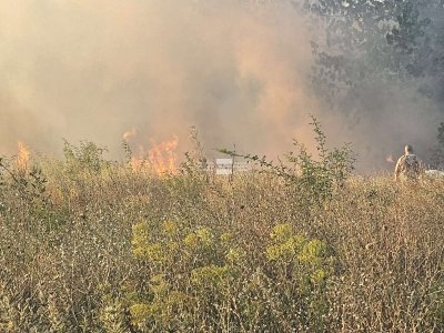 Овладени са пожарите в Бургаско