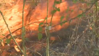 Голям пожар гори в Сакар планина, хеликоптер се включи в гасенето