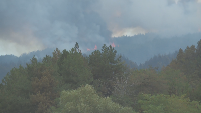 Прокуратурата: Пожарът край Елшица е тръгнал от запалено стърнище