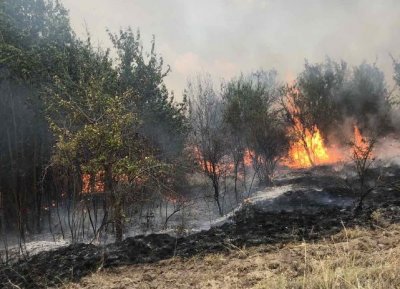 Военен хеликоптер "Кугър" се включи в гасенето на големия пожар в Пазарджишко (ВИДЕО)