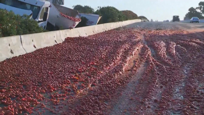 Камион натоварен с огромно количество домати се обърна на магистрала