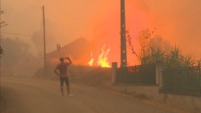 В Португалия обявиха тревога заради бушуващи горски пожари