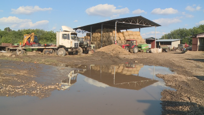 Поройни дъждове нанесоха щети за половин милион лева във ферма в Русенско