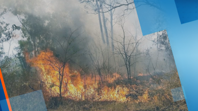 Пожар унищожи близо 3000 декара гора в Сакар
