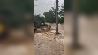 Няма информация за загинали и пострадали хора при наводнението в