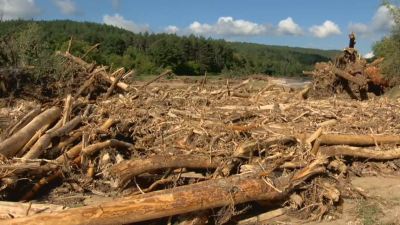 Как и защо водата е свлякла хиляди кубици дървен материал в наводнените карловски села?