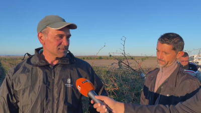 Силната буря в Поморийско е унищожила почти напълно реколтата от