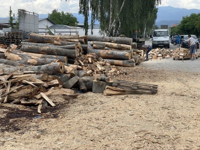 Дървопреработватели настояват за прозрачност при тръжните процедури за отдаване на дървесина