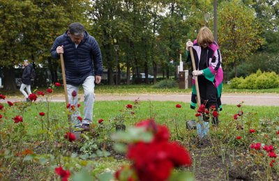 Рози в София в знак на благодарност към донорите и техните семейства