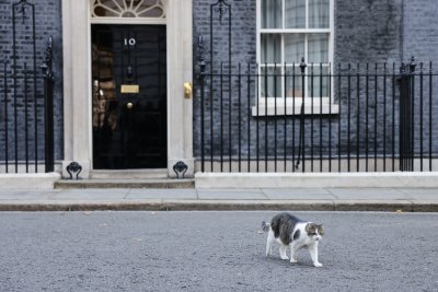 След 45-дневния мандат на Лиз Тръс: Кои са претендентите за премиерския пост във Великобритания?