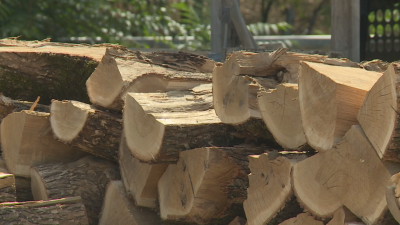 Продължават проблемите с доставките на дърва за огрев в Благоевград