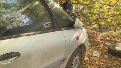Каква е съдбата на кучетата, затворени в изоставен автомобил във Варна