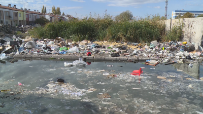 Местните власти в Пловдив правят нов опит да премахнат най голямото