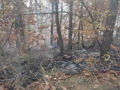 Пожар в Странджа, предполага се намесата на мигранти (СНИМКИ)