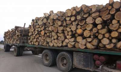 Държавата и църквата раздават дърва на 300 семейства, пострадали при наводненията в Карловско