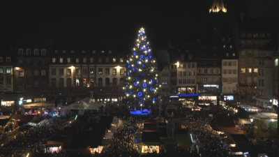 Коледният дух завладя и Страсбург.Грейнаха светлините на 30-метрово коледно дърво