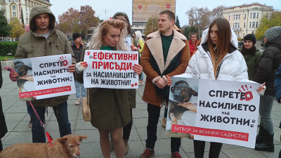 Протест срещу насилието над животни се проведе в 8 града в страната
