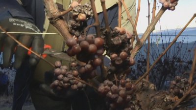 Греяното вино е добре известно през зимния сезон През декември