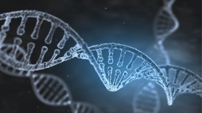 Специално: Как се прави ДНК тест и колко надежден е резултатът?