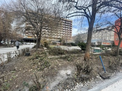 Парите за ремонтна Борисовата градина ще бъдат пренасочени за облагородяването