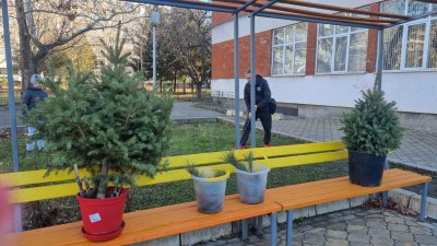 Деца се включиха в инициативата "Посади жива елха" в Бургас