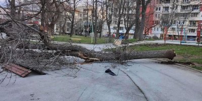 Продължава ураганният вятър над Враца и района Поривите му днес
