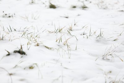 Обилни снеговалежи и условия за поледици в четвъртък