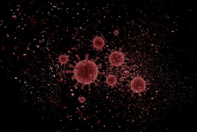 53 са новите случаи на коронавирус у нас за последното