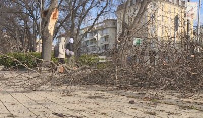Бурен вятър счупи дървета и клони във Варна, отложени са полети (ВИДЕО)