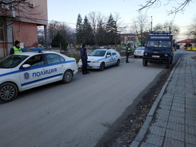 Полицейска акция в Пловдивско: Съставени са глоби и актове за незаконна сеч и пътни нарушения